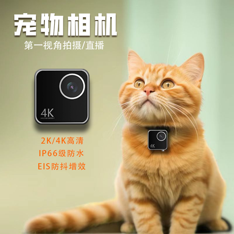 Animal cat dog pet camera firs - огляд і ціна Cameras