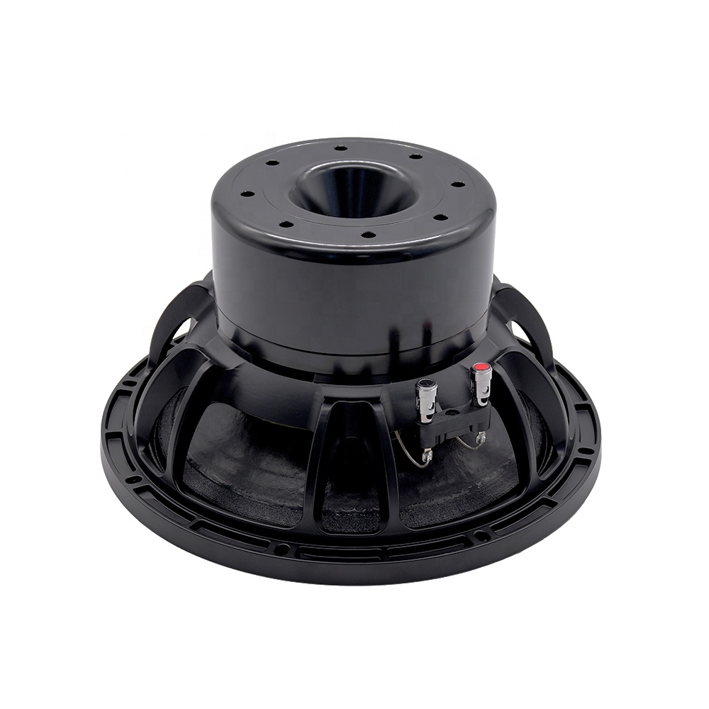 12DS Pro Audio Equipment 12''  - огляд і ціна Speakers